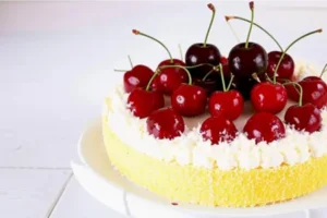 28aaa624e44c24000a5bf8499c15445c.webp